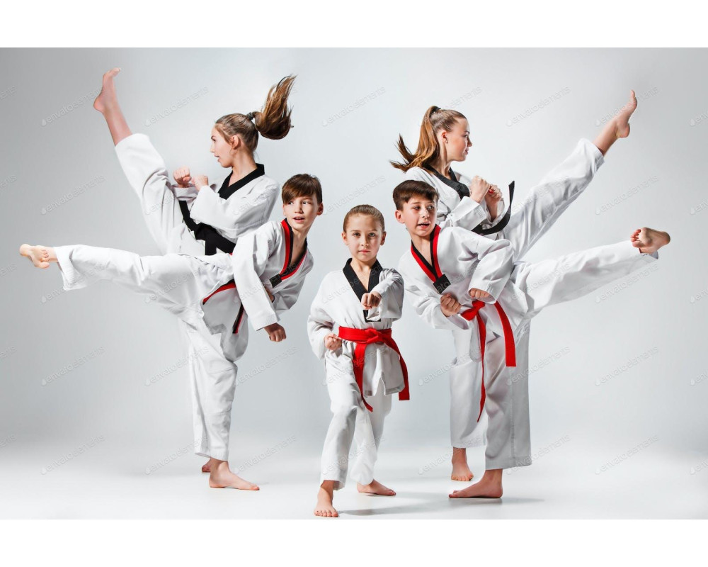 Татами для каратэ