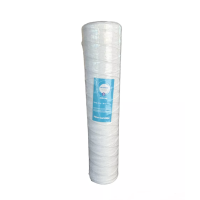 Картридж из полипропиленовой нити 20 Big Blue 5 mcr 80°C NSF