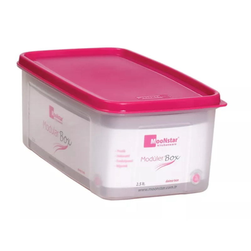 Контейнер пластиковый пищевой с крышкой Modular 2,5л