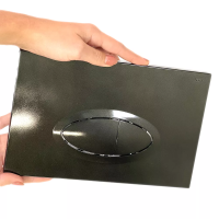 0054 Клавиша смыва для установки Dark grey 3/6 LT, овальная