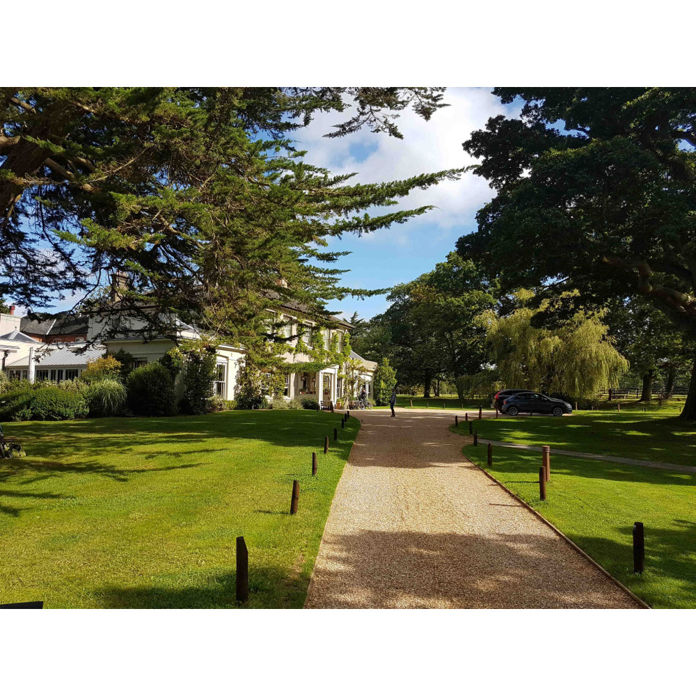 Газонна решітка Stella Green SG-1 G 465х465х40 мм (1м2 - 4,63 шт) для облаштування території Газонна решітка Stella Green SG-1 G 465х465х40 мм (1м2 - 4,63 шт) для облаштування території