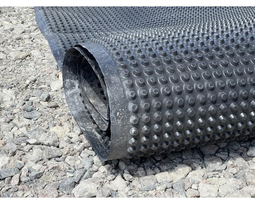 Что такое шиповидная мембрана?