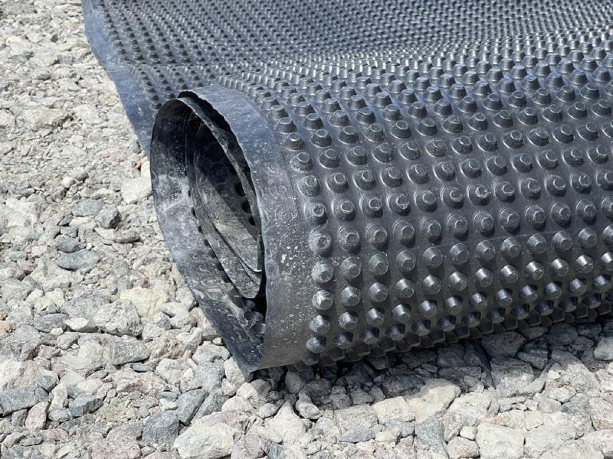 Что такое шиповидная мембрана?