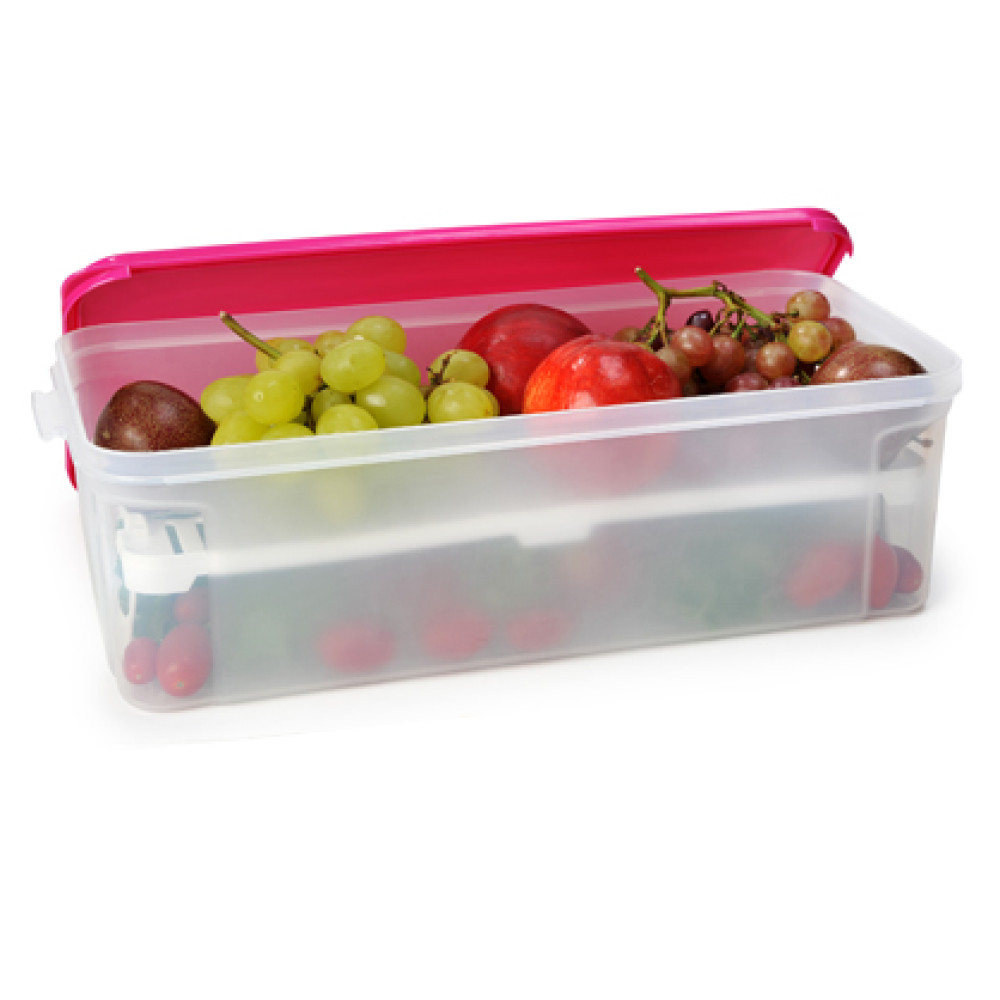 Контейнер пластиковый на два горизонтальных отделения 6л Контейнер пластиковый на два горизонтальных отделения 6л