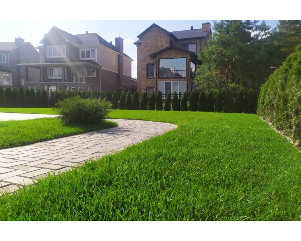 Как защитить газон от вытаптывания?