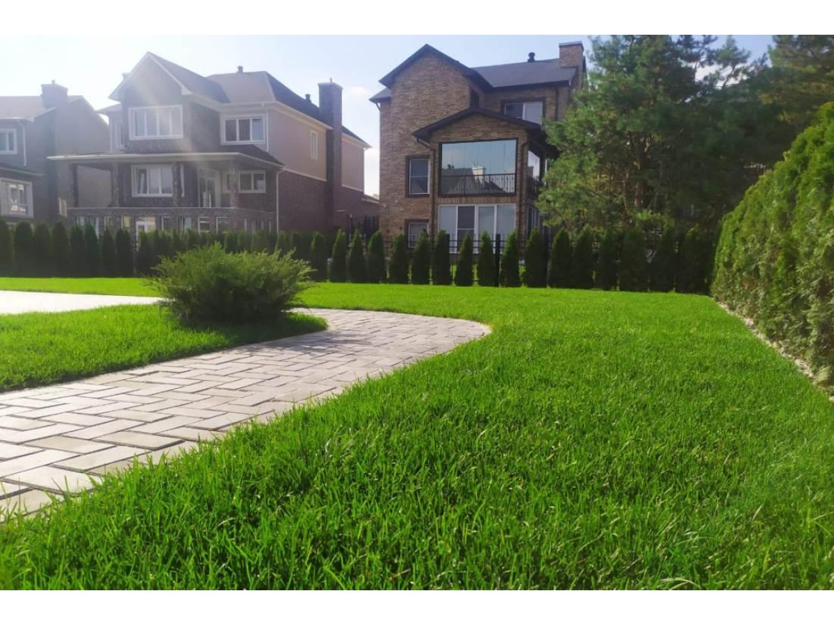 Как защитить газон от вытаптывания?