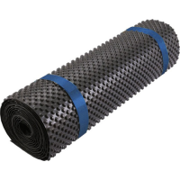 Мембрана шиповидная профилированная 400 SanstoreDrain (2м*20м) Мембрана шиповидная профилированная 400 SanstoreDrain (2м*20м)