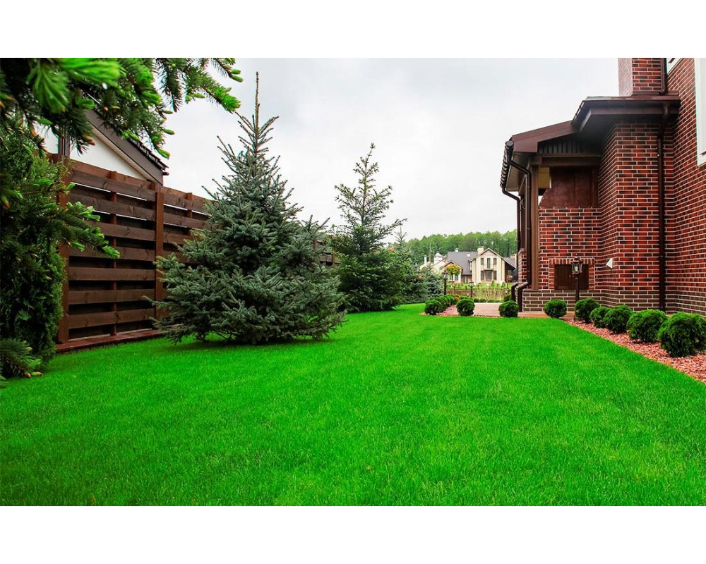 Секреты зеленого газона. Применение геотекстиля под рулонный газон