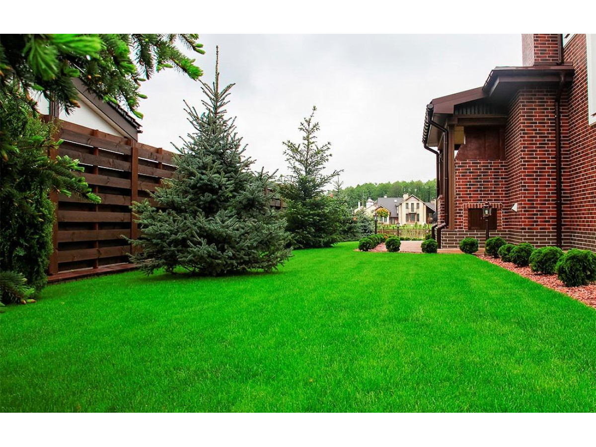 Секреты зеленого газона. Применение геотекстиля под рулонный газон