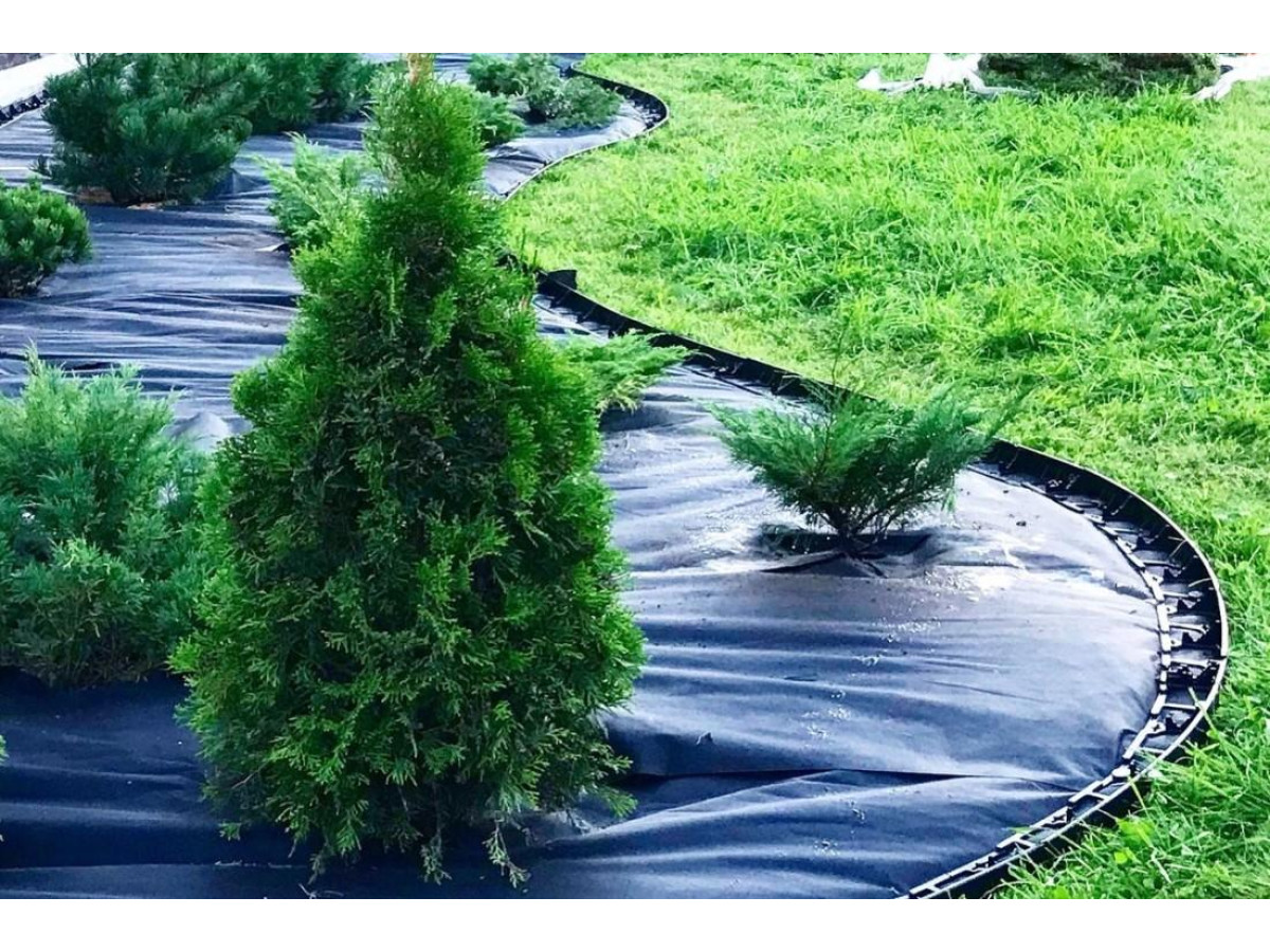 Разница между агротканью и геотекстилем: что выбрать для сада и огорода