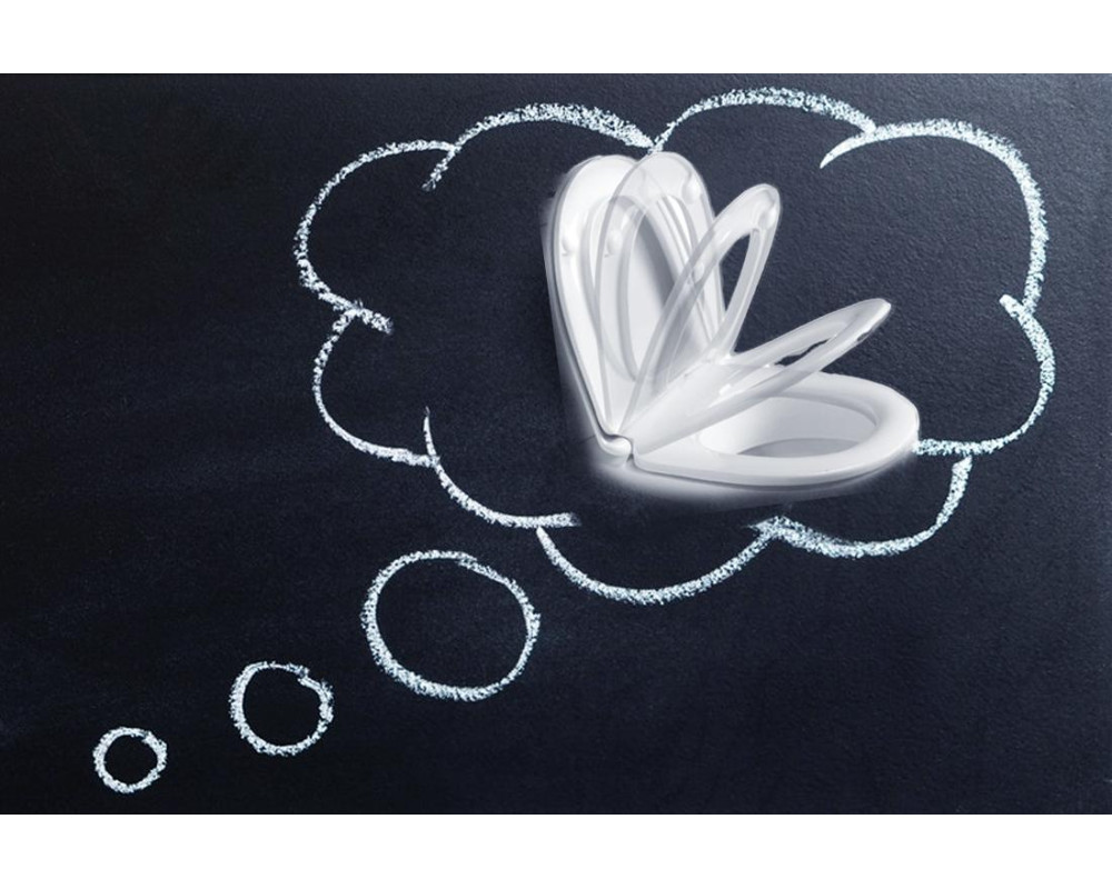 Как выбрать крышку для унитаза: простые советы в помощь