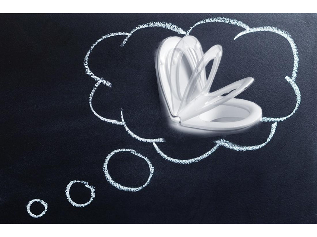 Как выбрать крышку для унитаза: простые советы в помощь