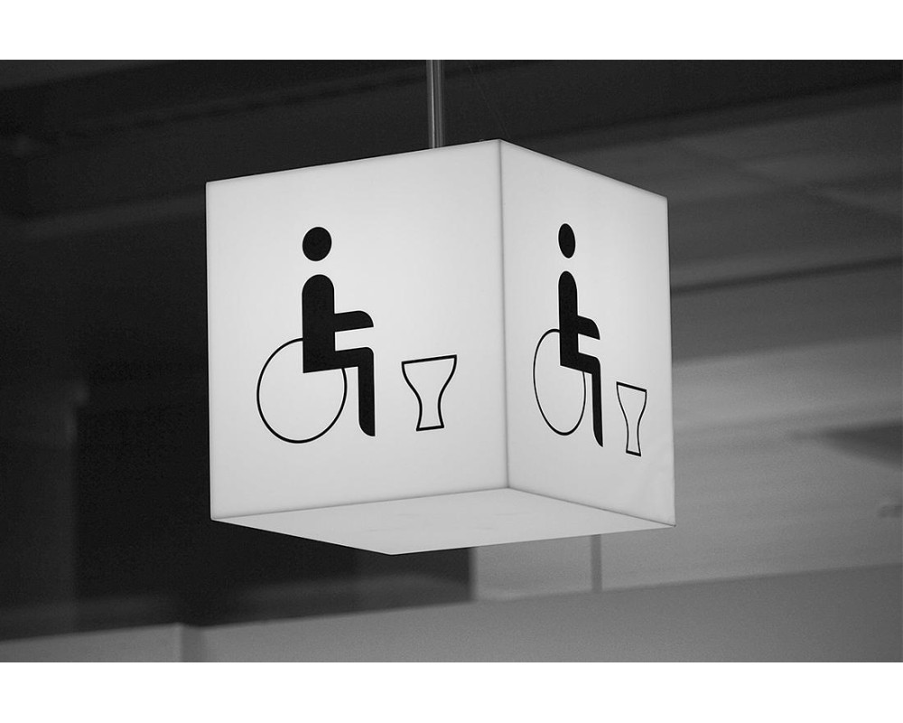 Поручни для инвалидов в санузлах