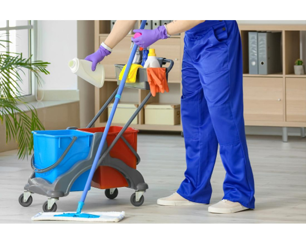 Тележки для уборки: назначение, виды