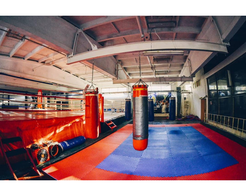 Маты татами «ласточкин хвост»