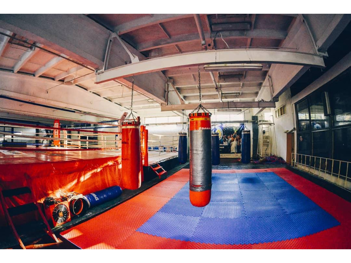 Маты татами «ласточкин хвост»